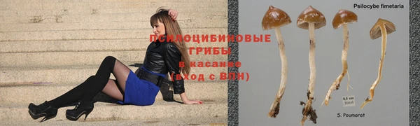 индика Корсаков
