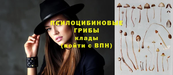 индика Корсаков