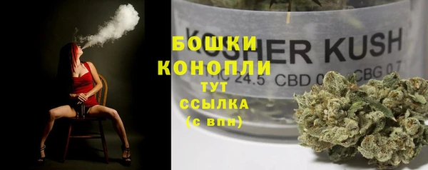 гидропоника Коряжма