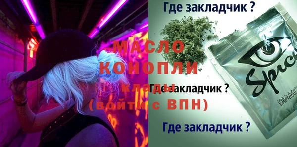 индика Корсаков