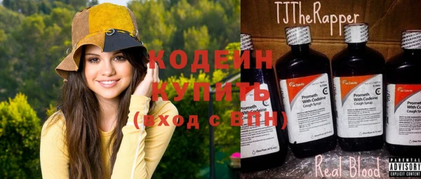 индика Корсаков