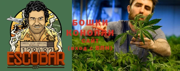 гидропоника Коряжма