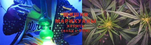 гидропоника Коряжма