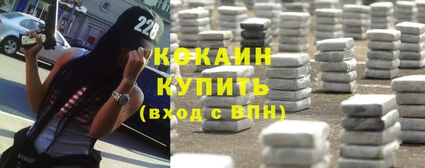 индика Корсаков