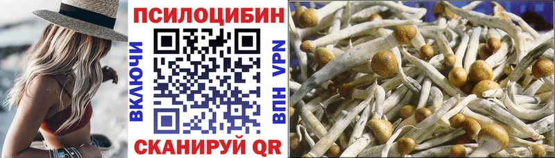 Псилоцибиновые грибы мицелий  Купить  Полевской 
